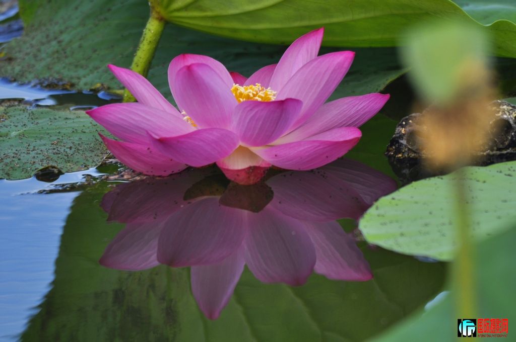 ���� _DSC0005.JPG