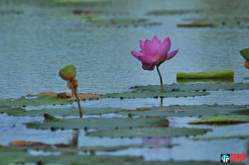 ���� _DSC0001.JPG