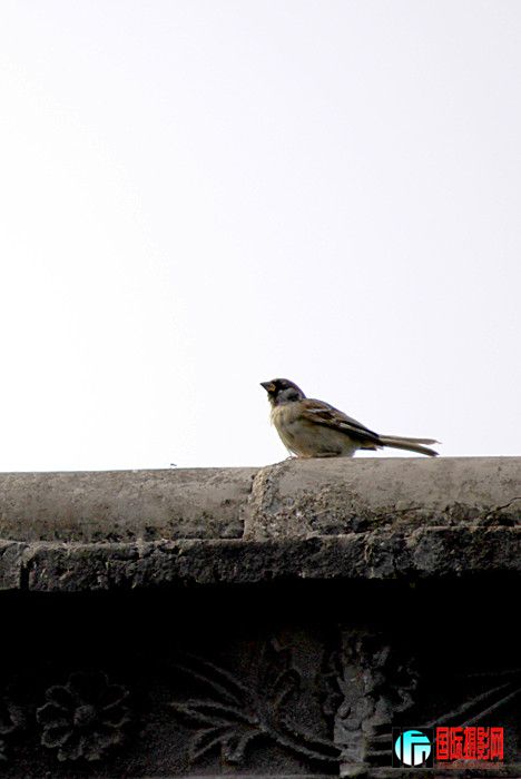 �ɻ� 101_����.jpg