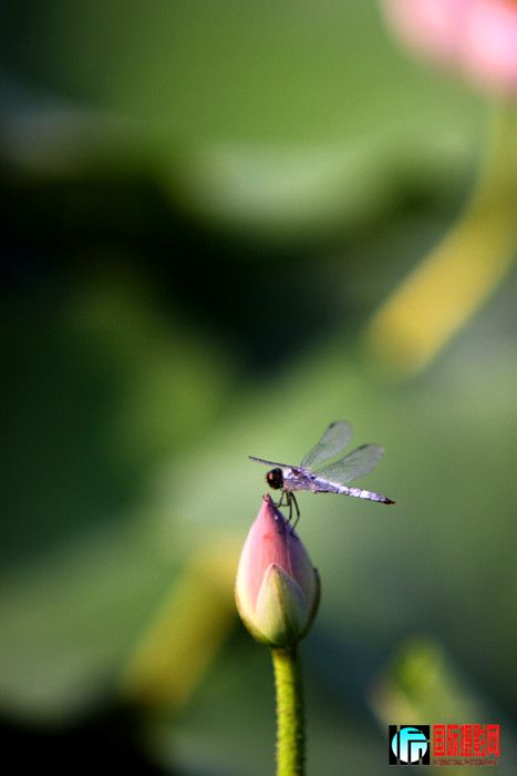 �ɻ� 142_����.jpg