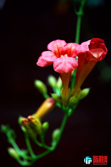 �ɻ� 115_����.jpg