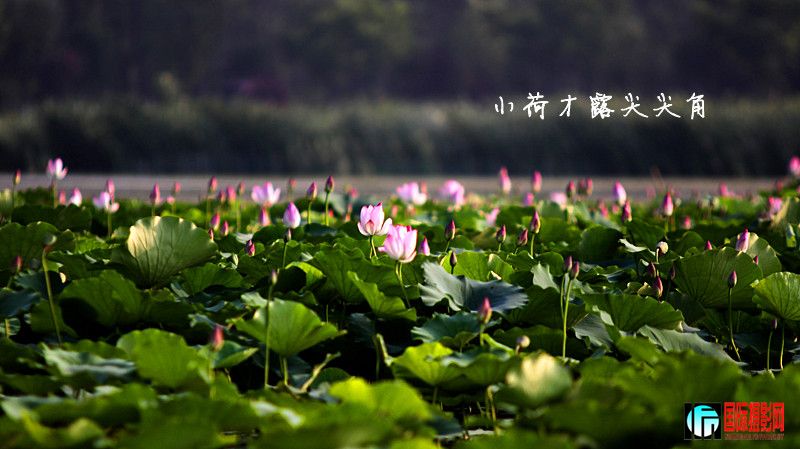 �ɻ� 151_����.jpg