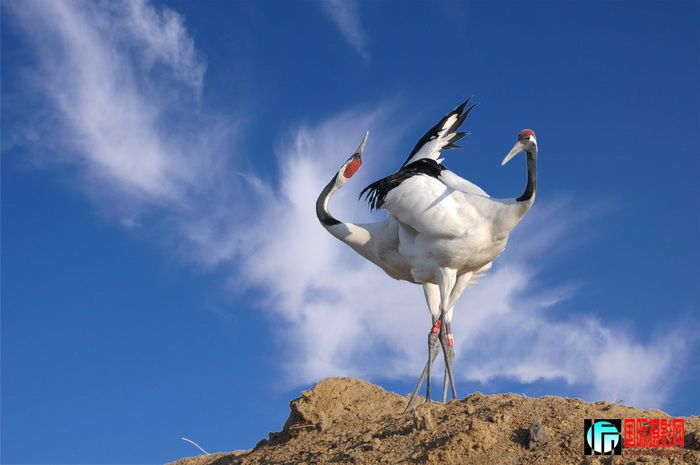 DSC_0314 ����.jpg