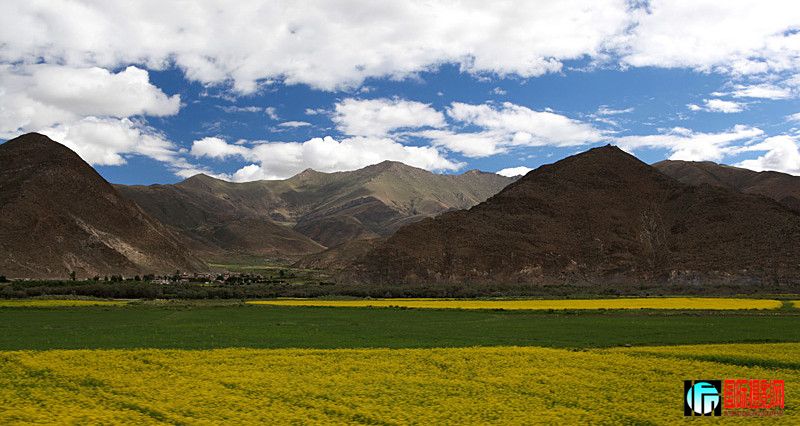 ������ 1295_����.jpg