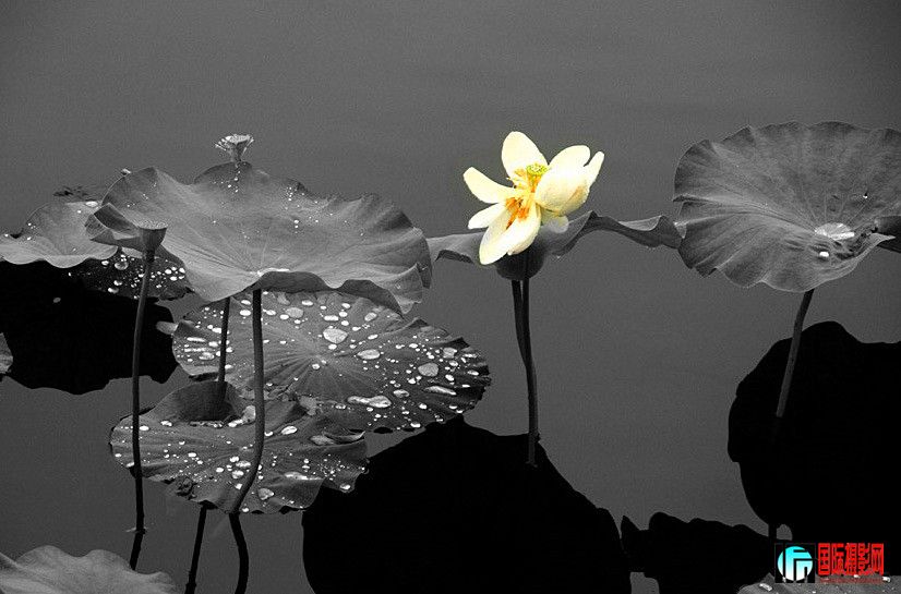 �ɻ���Ƭ 030_����.jpg