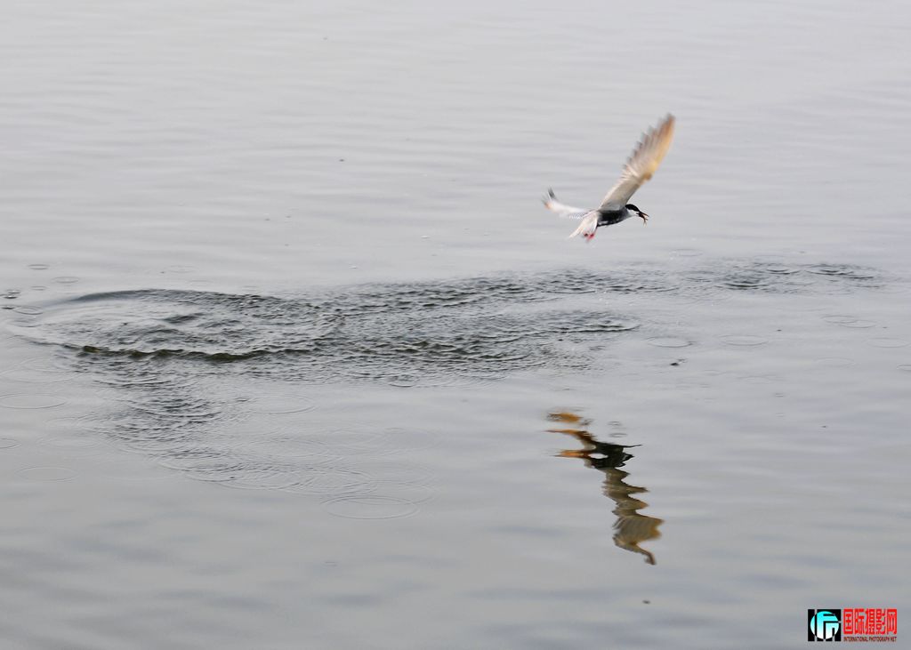 DSC_1658_15551.jpg