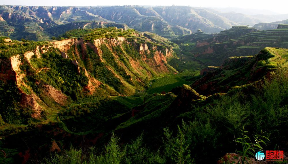 ����Ӱ��Ϊһ��ϰ��ʱ����������������