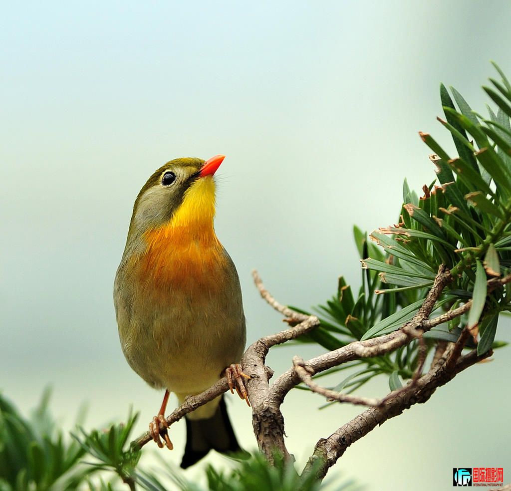 DSC_7963  11.jpg