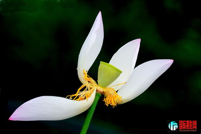 �� Ȥ  IMG_4773����.jpg