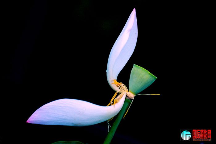 ��Ȥ.��������  IMG_4778����.jpg