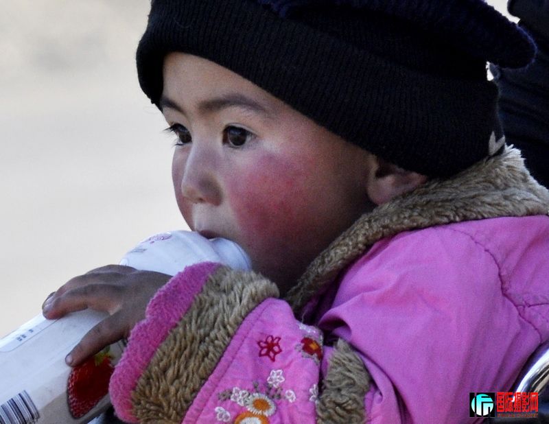 ���� _DSC0024.JPG