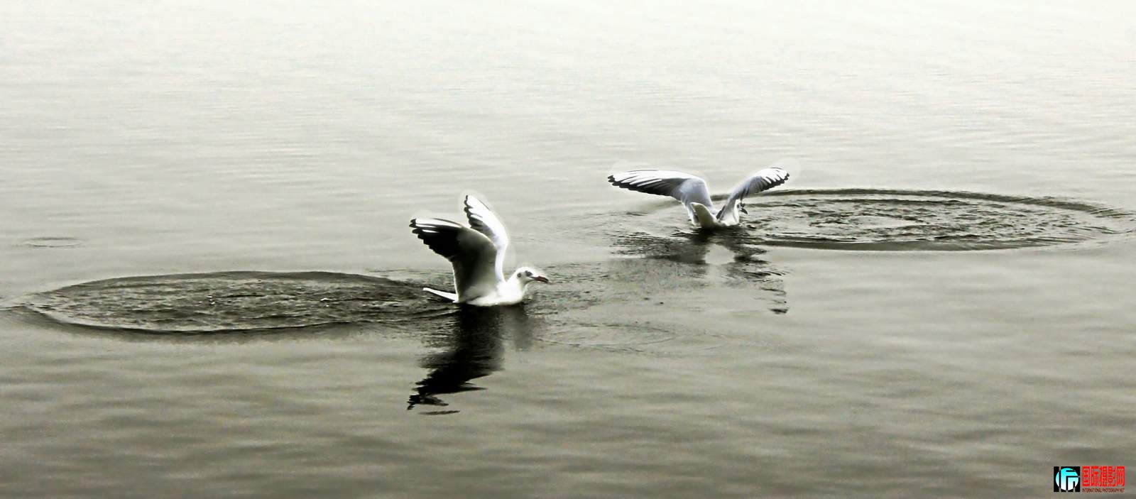 IMG_0989.JPG