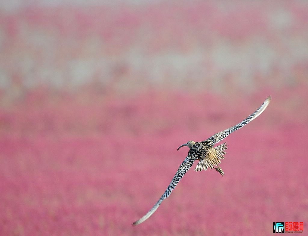 DSC_0372  2.jpg