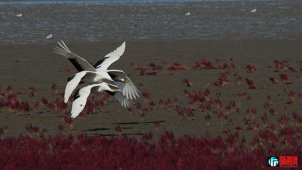 DSC_0493  3.jpg