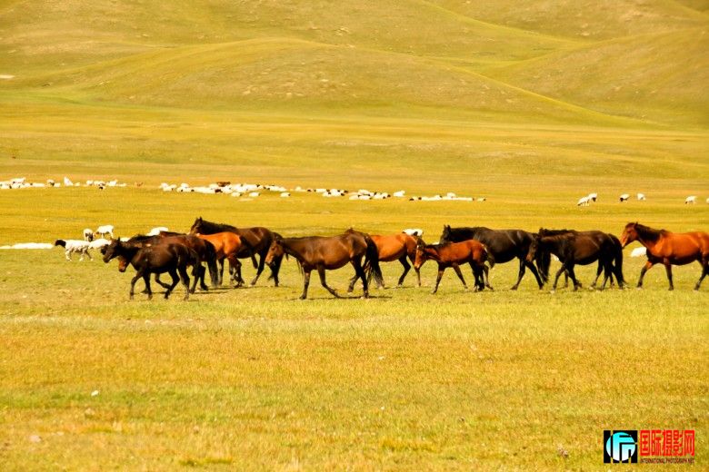 ������³��