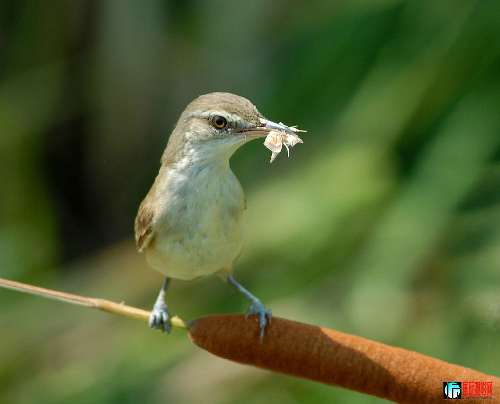 DSC_0078   2.jpg