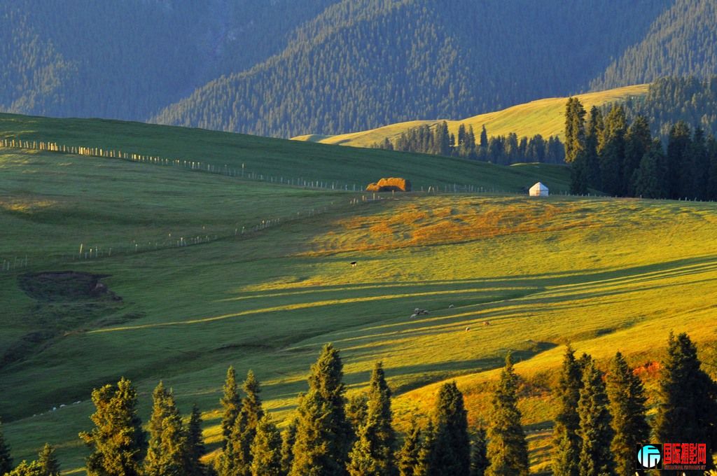 ���� _DSC0035.JPG