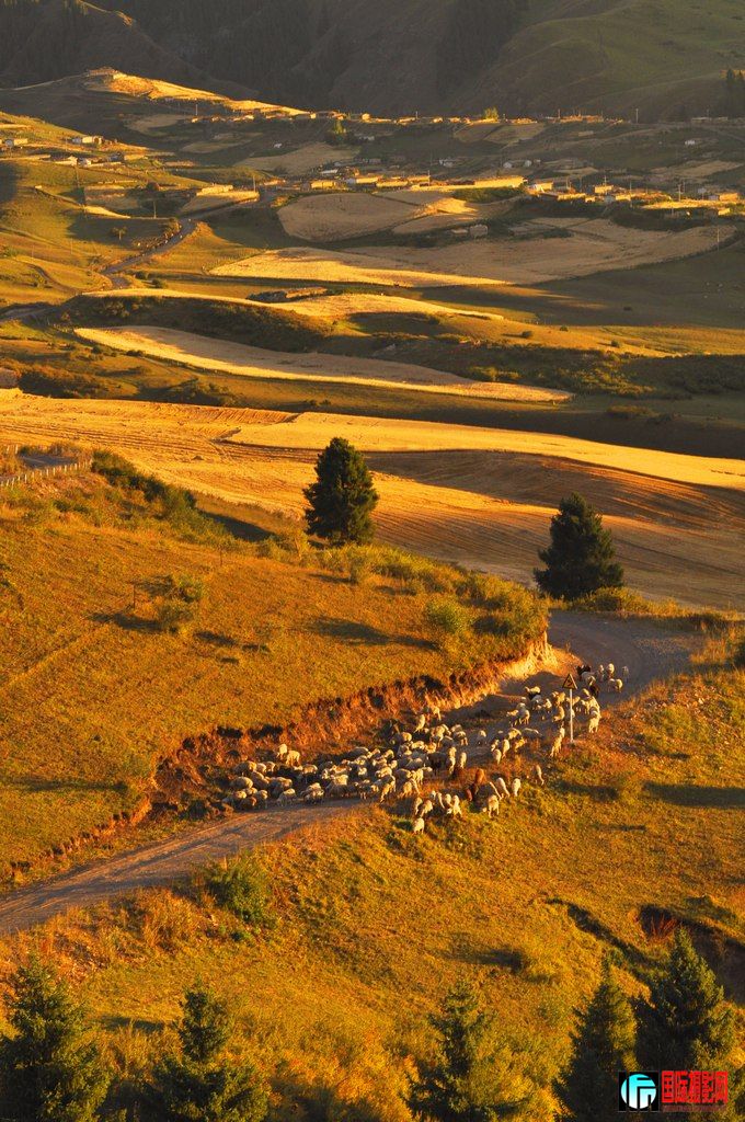 ���� _DSC0011.JPG