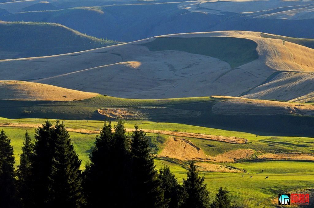 ���� _DSC0038.JPG