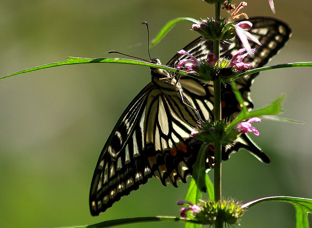 ��̬���� 6.jpg