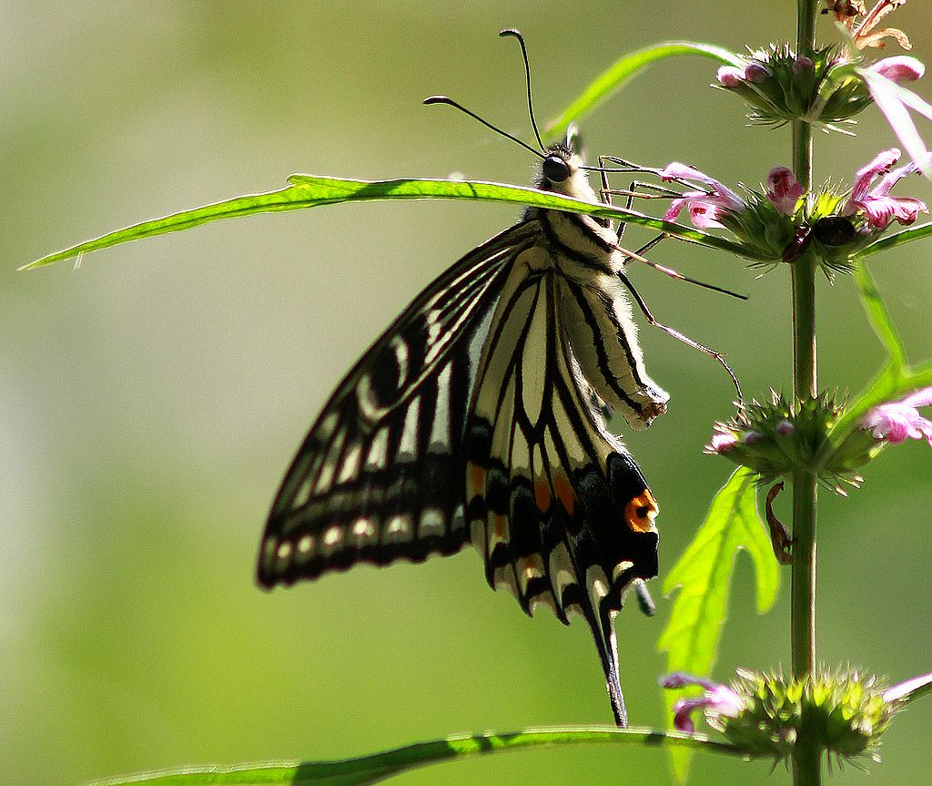 ��̬���� 7.jpg