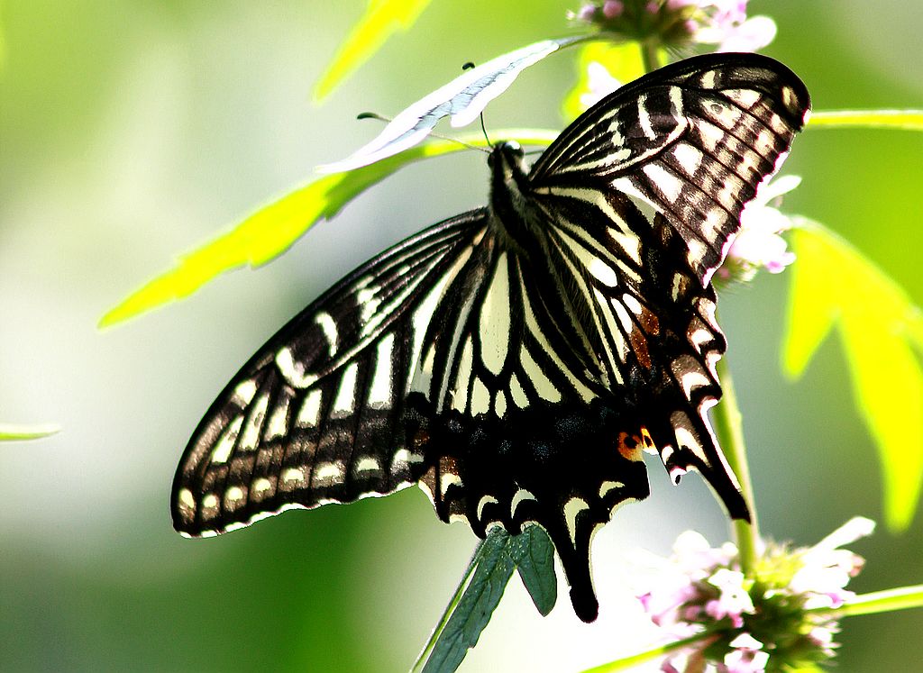 ��̬���� 15.jpg