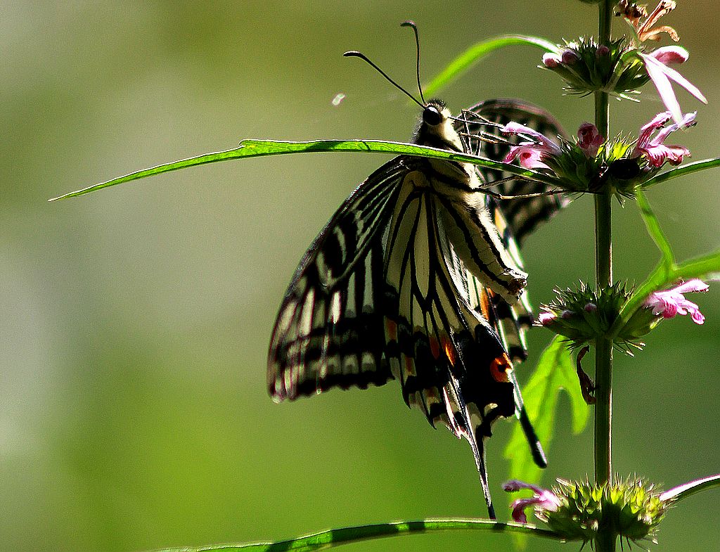 ��̬���� 8.jpg