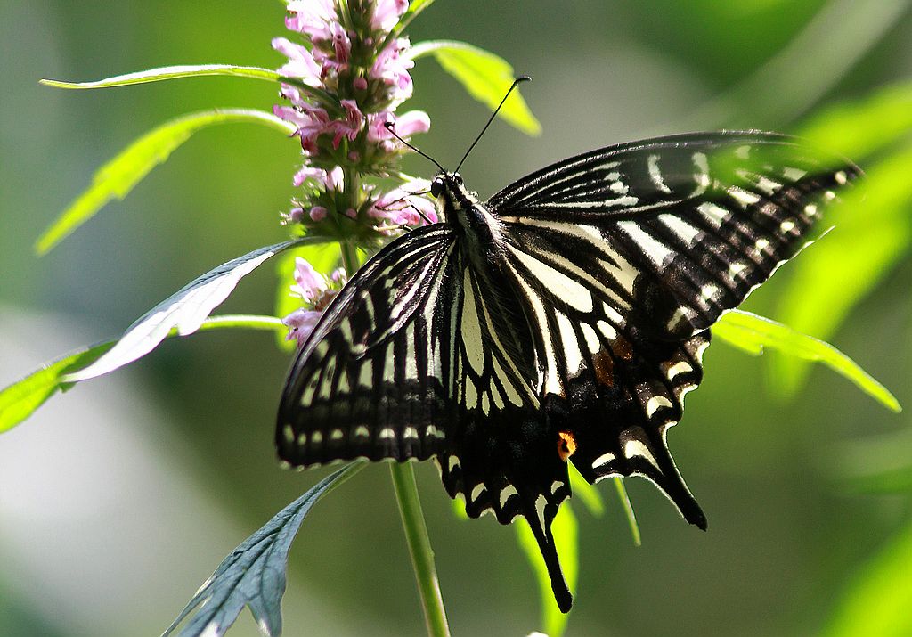 ��̬���� 17.jpg