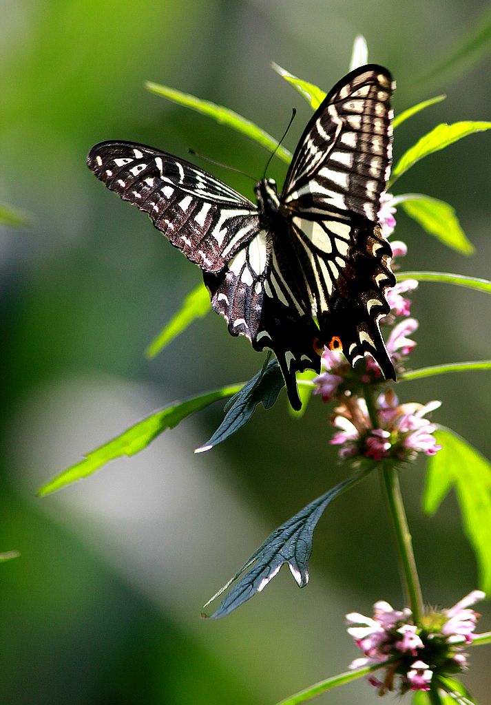 ��̬���� 18.jpg