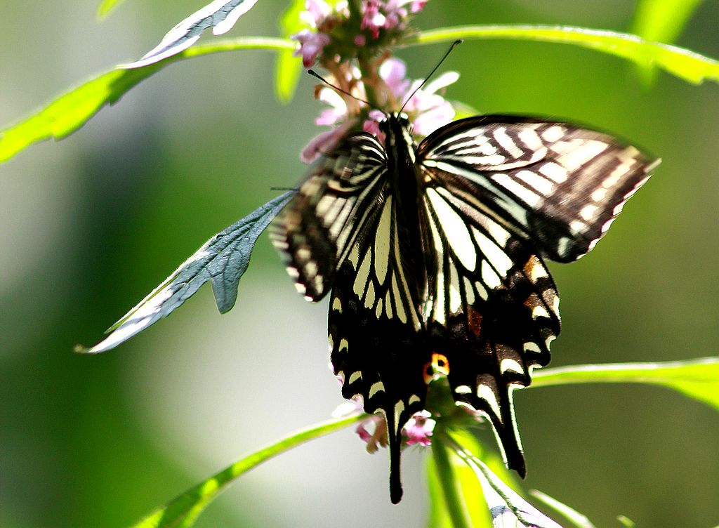 ��̬���� 12.jpg