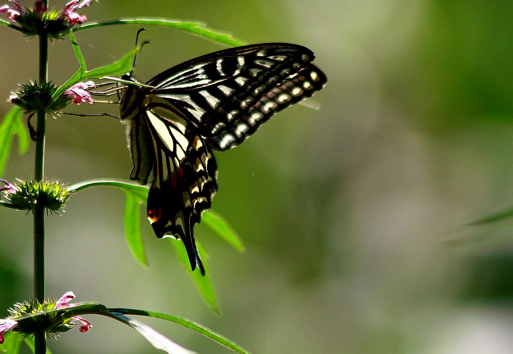 ��̬���� 4.jpg