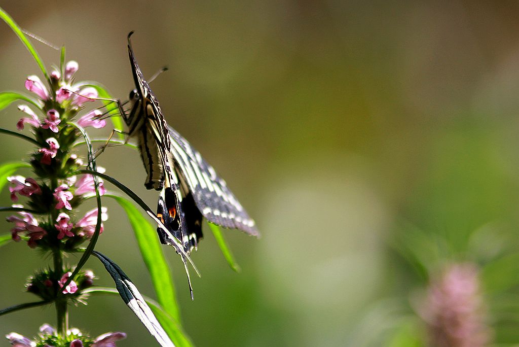 ��̬���� 34.jpg