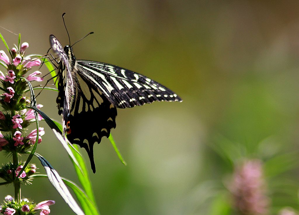 ��̬���� 35.jpg