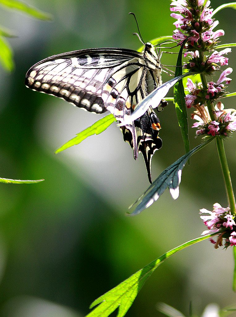 ��̬���� 19.jpg