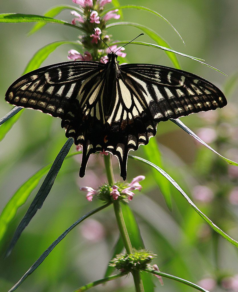 ��̬���� 30.jpg