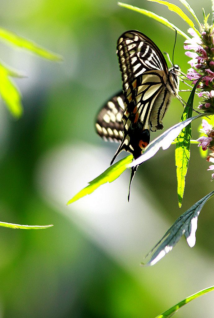 ��̬���� 20.jpg