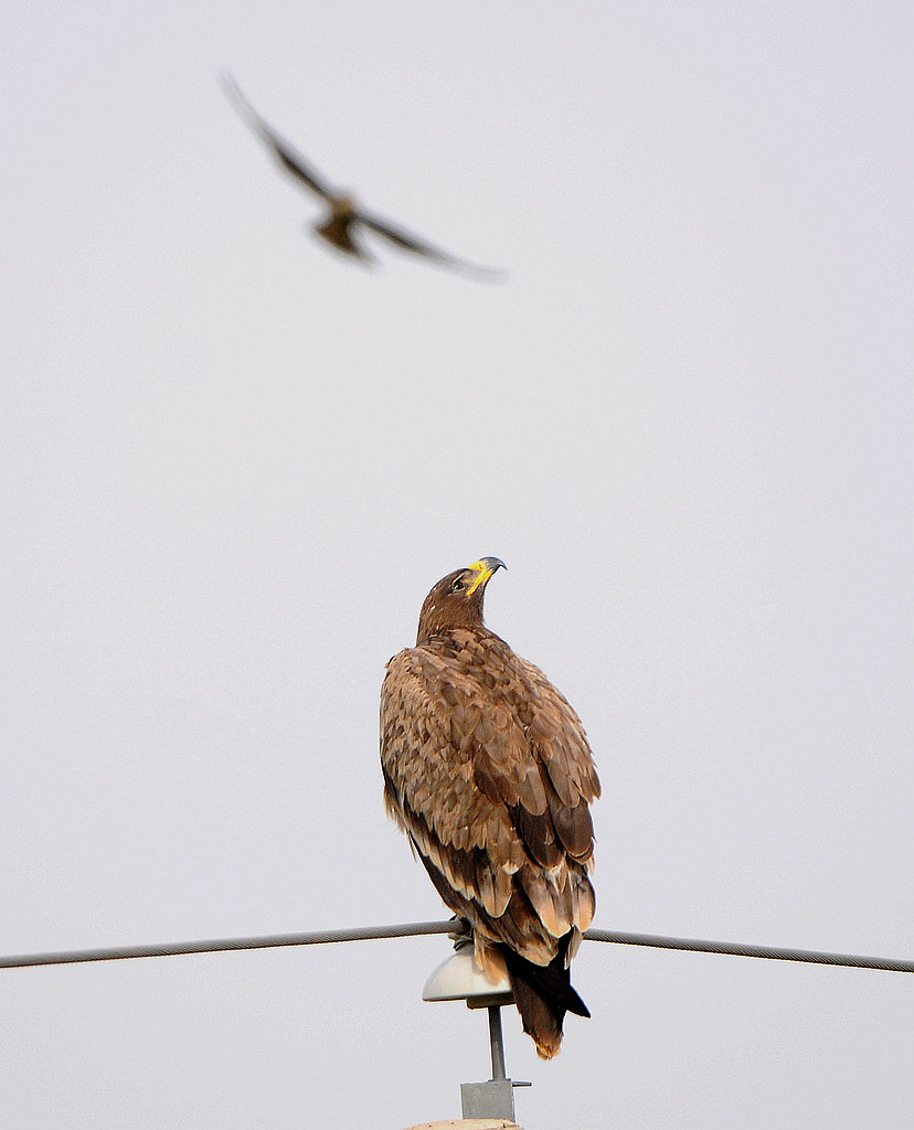 DSC_0045   3.jpg