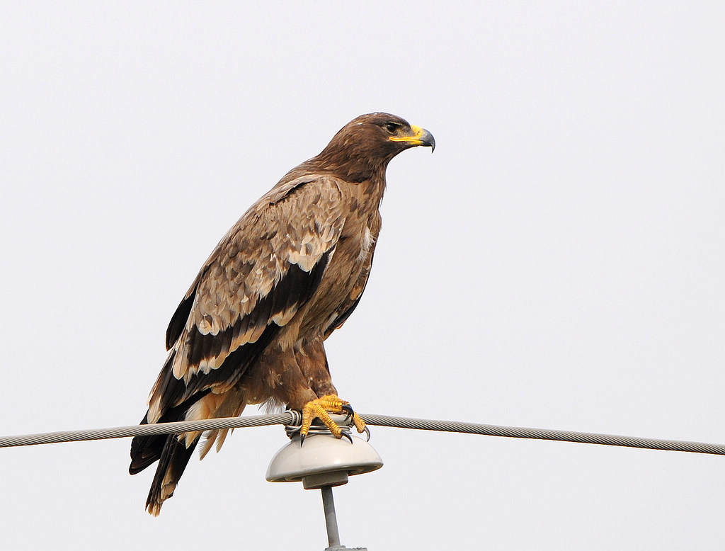 DSC_0117  6.jpg