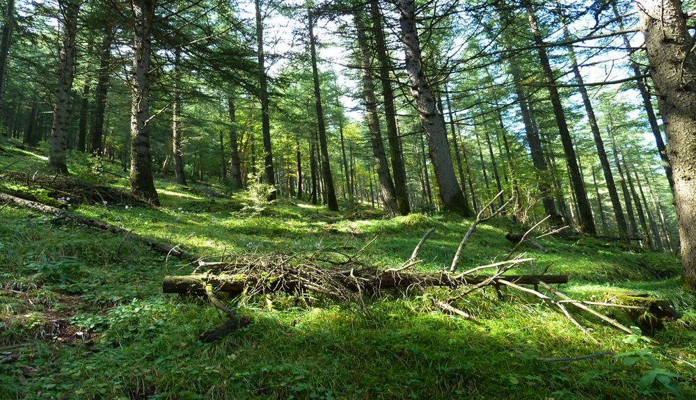 P1010915.JPG