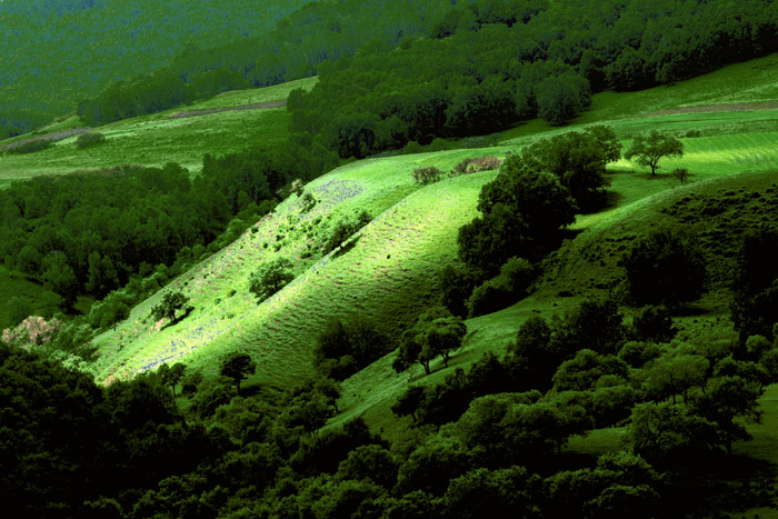 ������ԭ 630 IMG_0127����.jpg