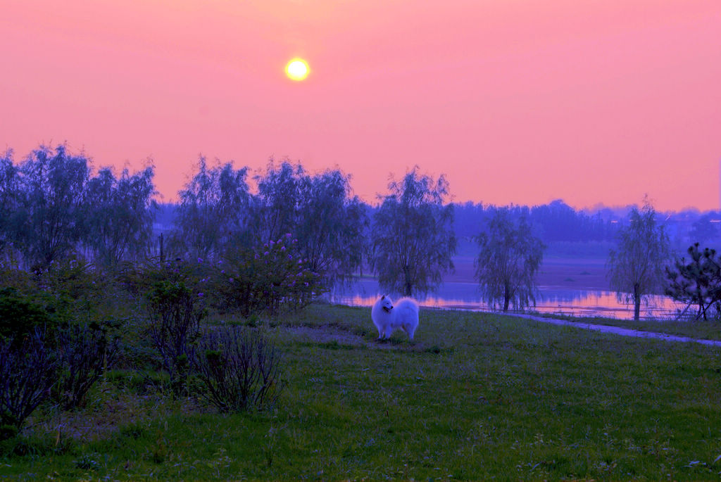 nEO_IMG_DSC08562 - ����.jpg