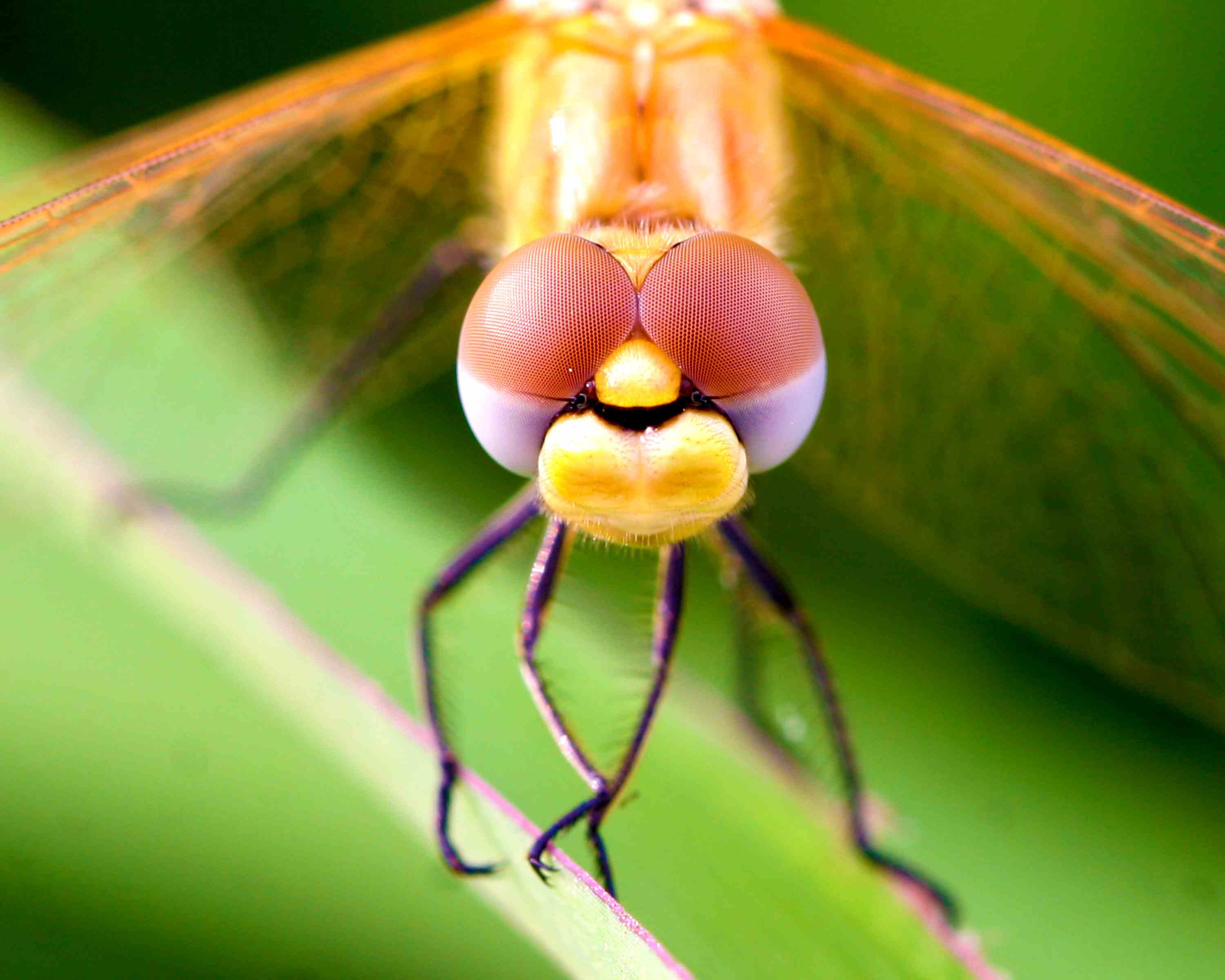 �����ֹ��� (1).JPG