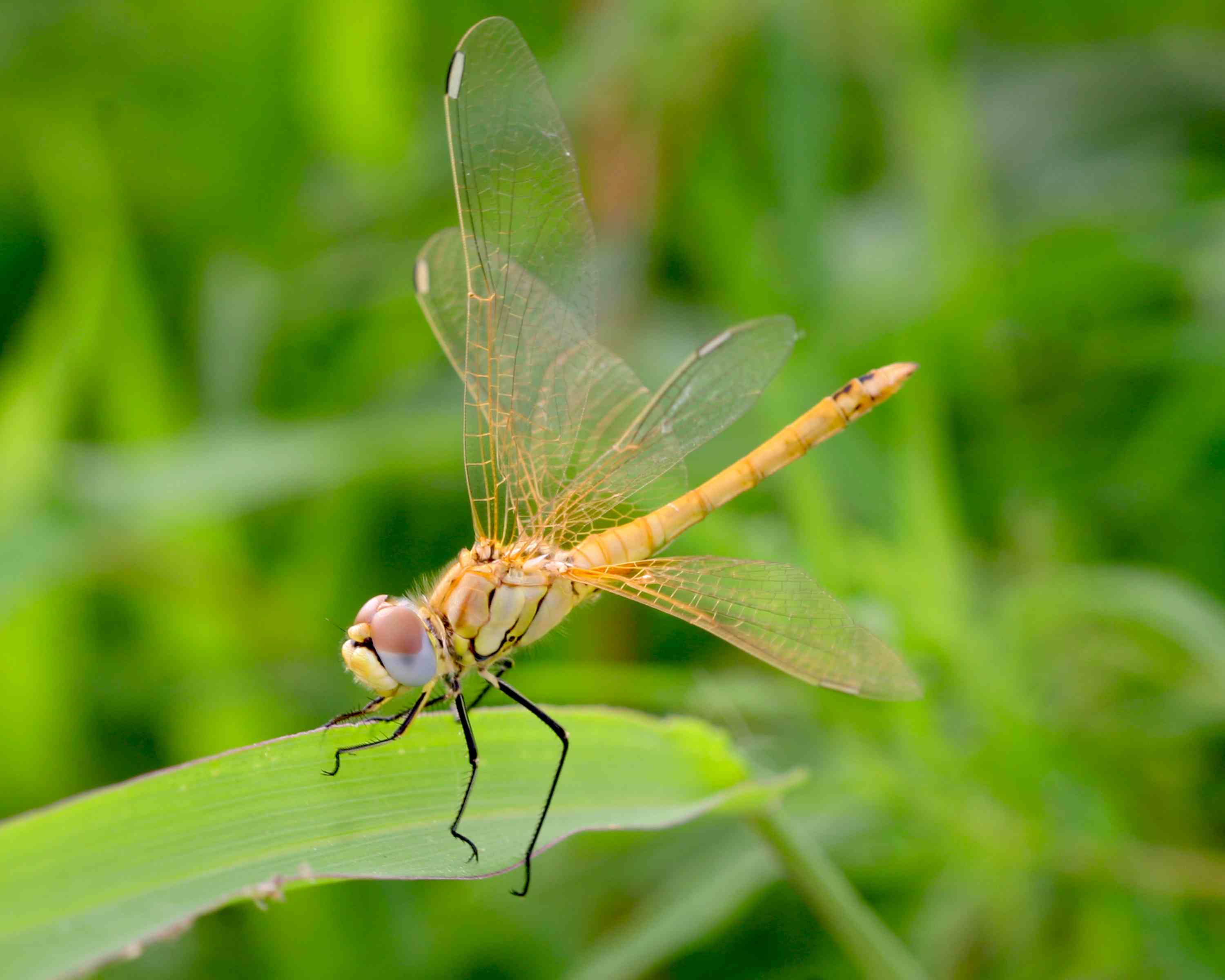 �����ֹ��� (4).JPG