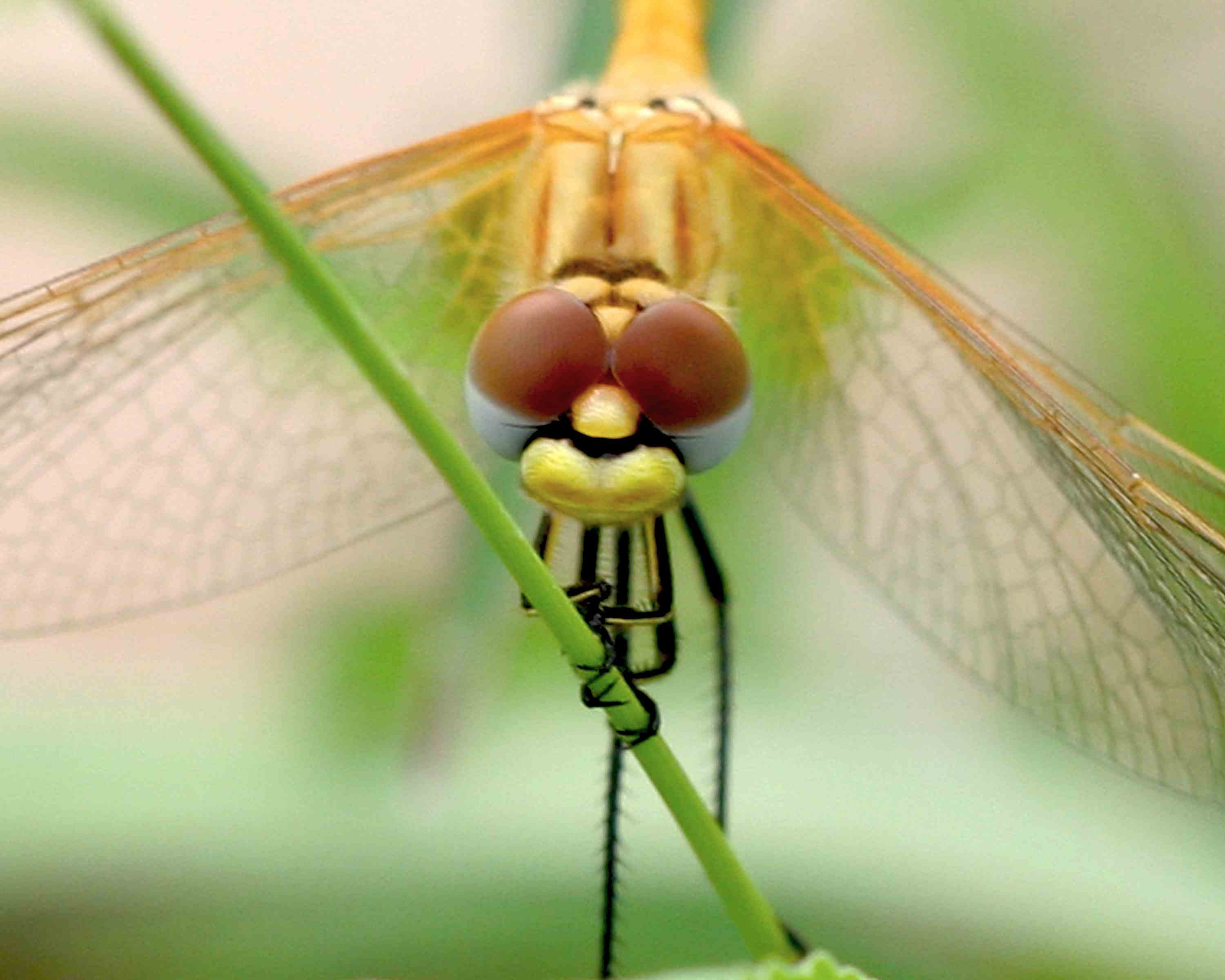 �����ֹ��� (6).JPG