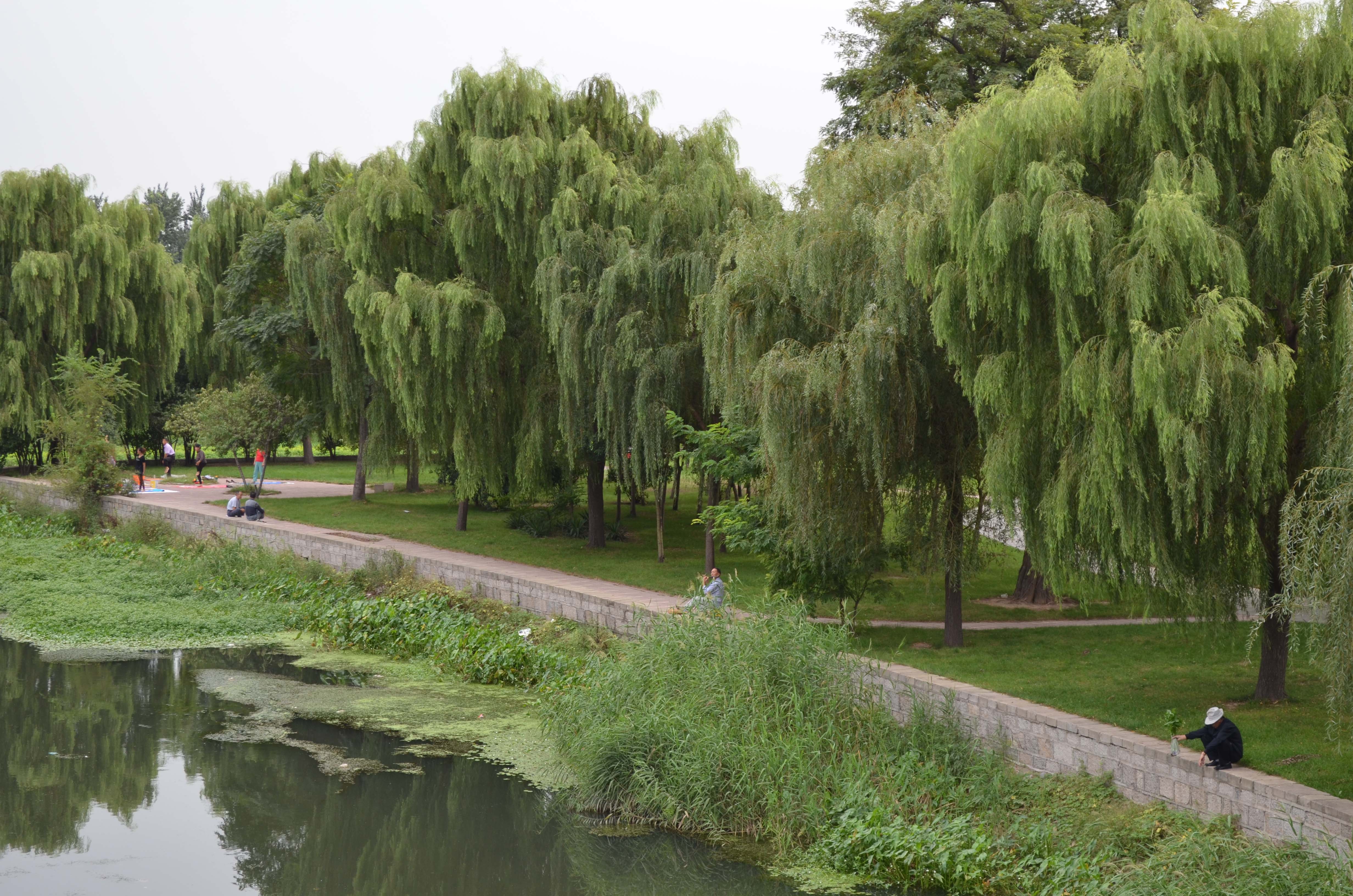 ��Ƭ 004 ����.jpg