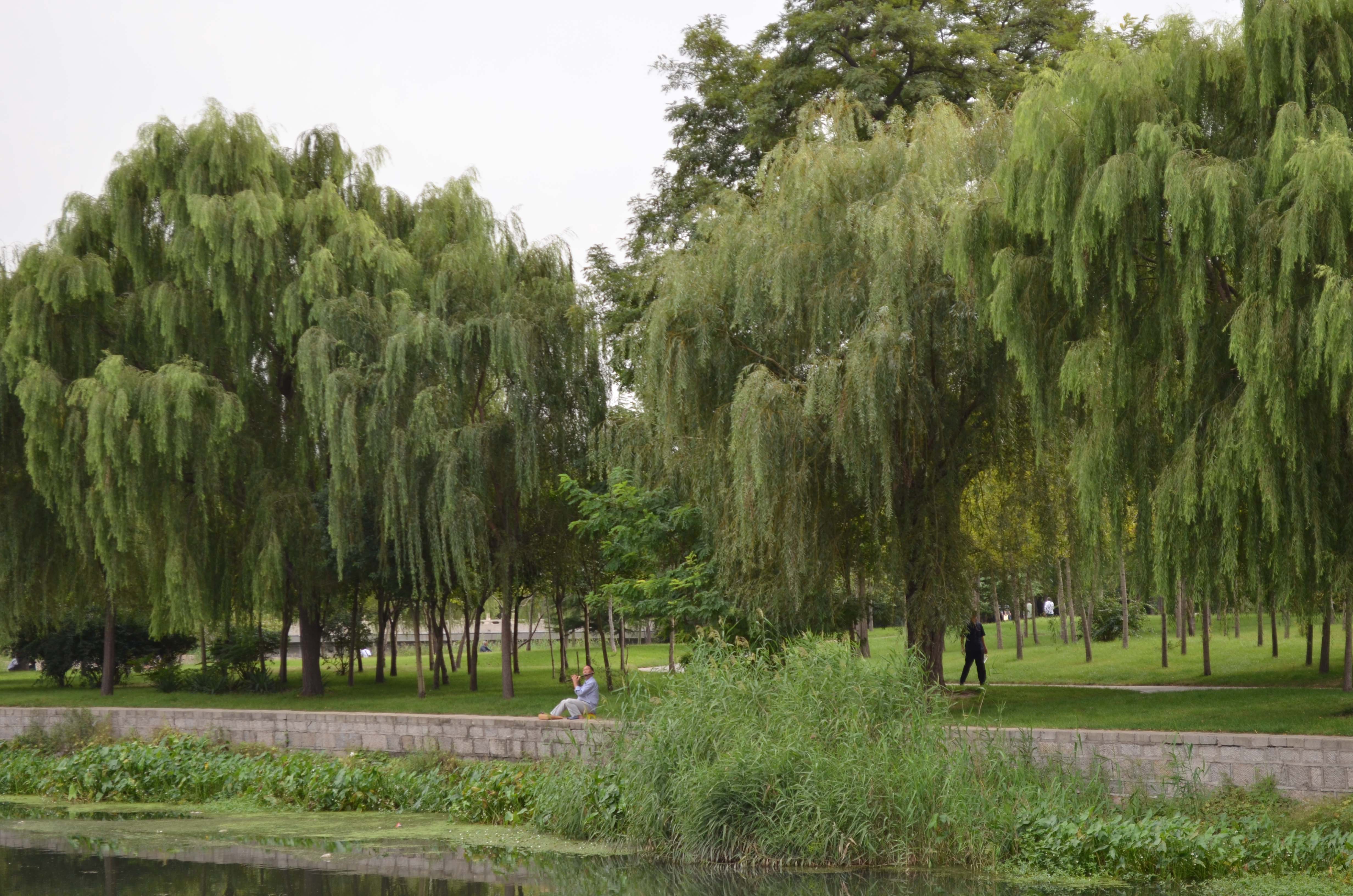 ��Ƭ 005 ����.jpg