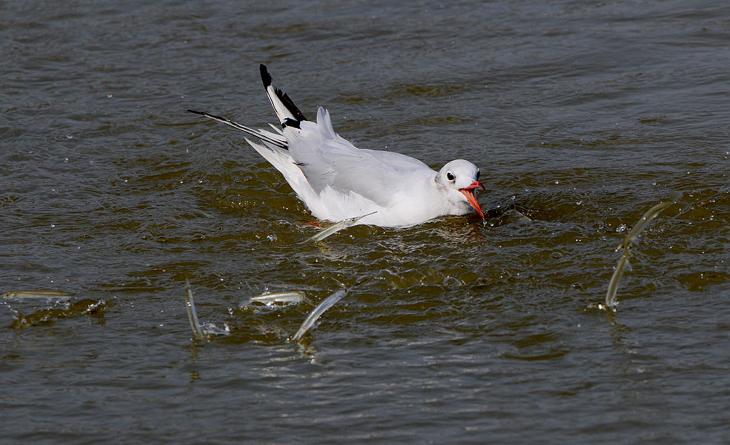 DSC_0860  3.jpg