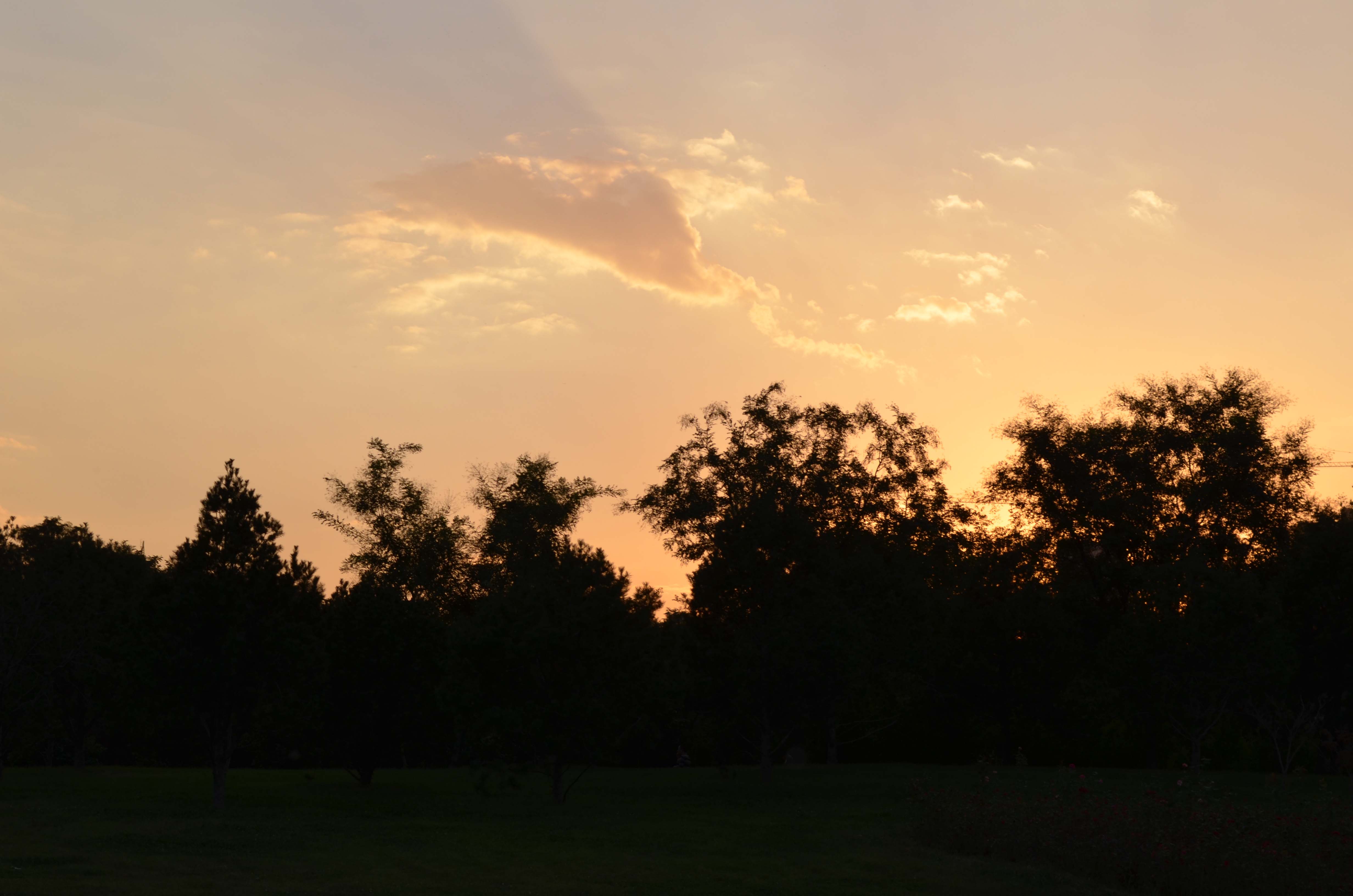 DSC_0053 ����.jpg