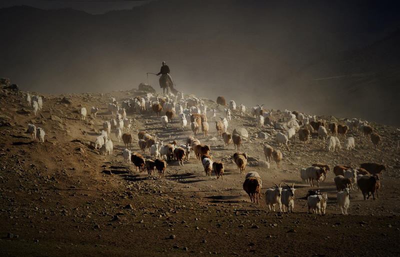 ���� _DSC0283.JPG