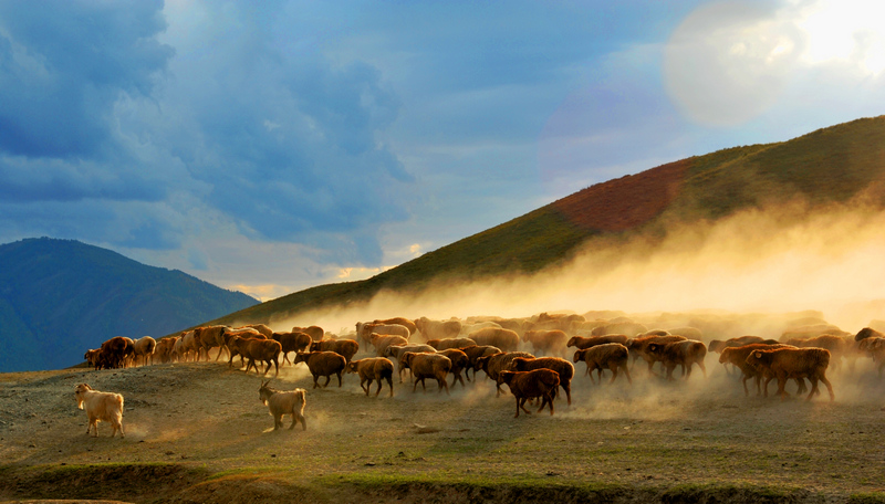 ���� DSC_5475.JPG